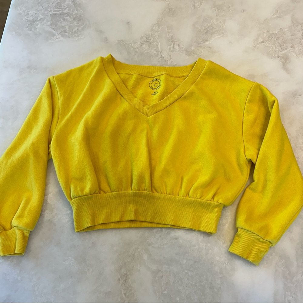 Urban Outfitters Cropped Sweatshirt